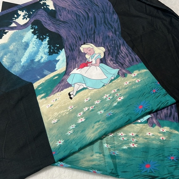 Vintage Disney Alice in Wonderland Pillowcase Set — Black Keyhole — Set of 2 — V - Picture 2 of 6